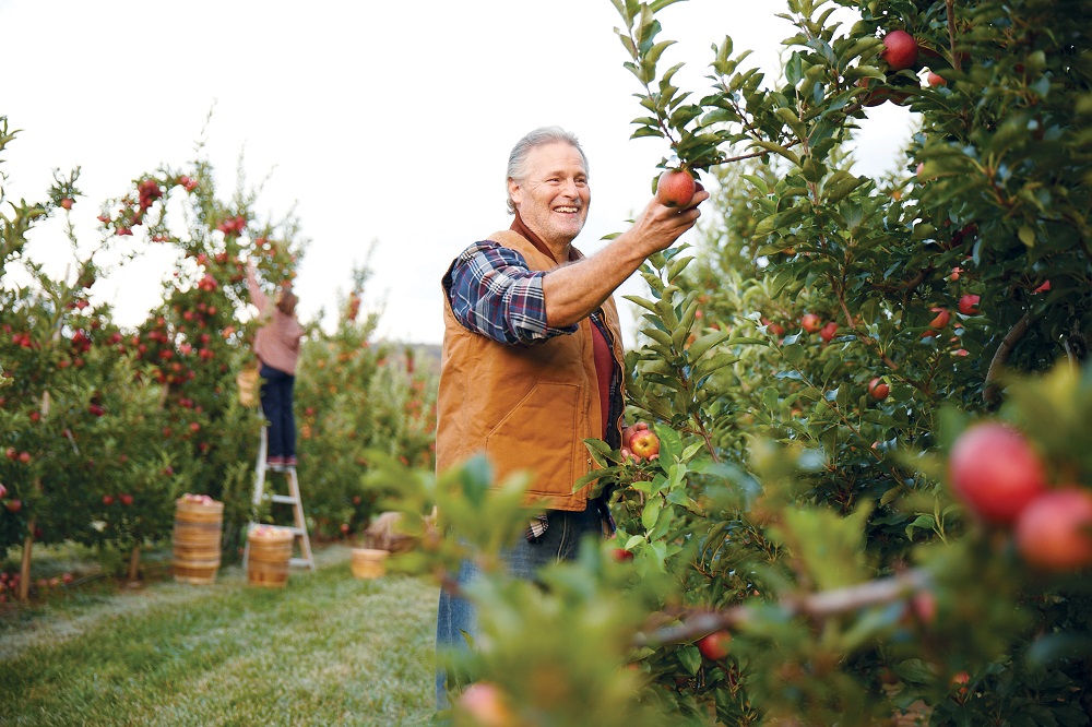 Coffee & red wine can play a complimentary role in a healthy diet for aging adults.